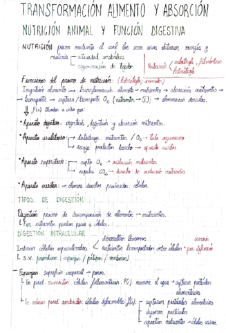 Transformacion-alimento-y-absorcion.pdf