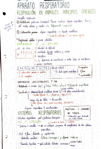 Aparato-respiratorio-y-excretor.pdf