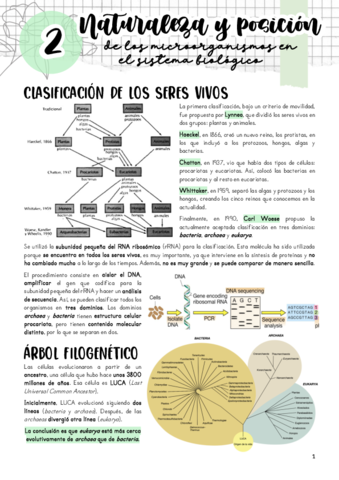 Tema-2.pdf