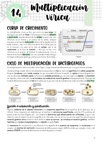 Tema-14.pdf