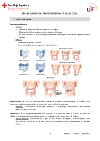 Tema-24-Clinica-II.pdf