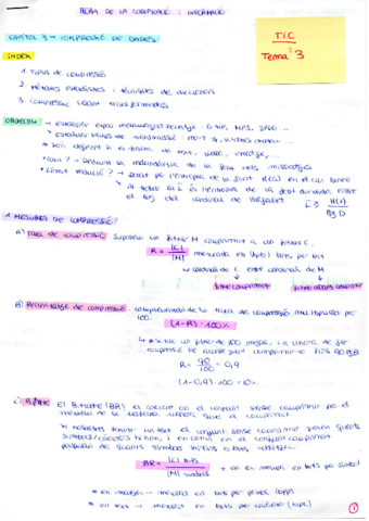 TICApuntsTema3.pdf