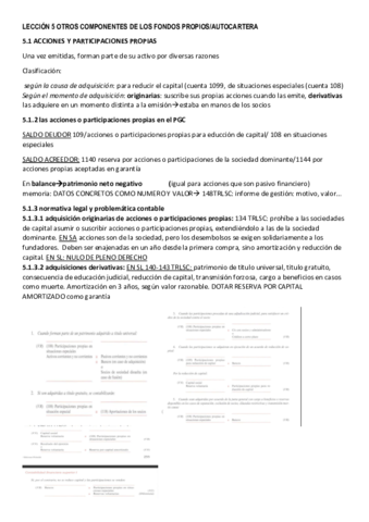 TEMA-5-OTROS-COMPONENTES-DE-LOS-FONDOS-PROPIOS.pdf