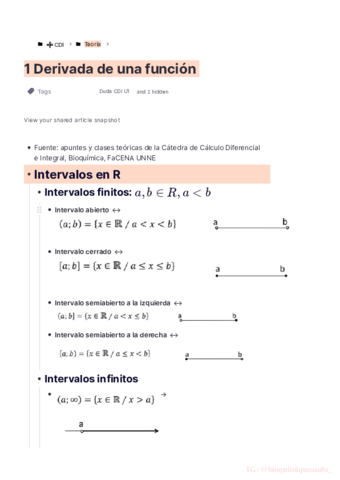 CDI-Unidad-1-Limites-y-Derivadas.pdf