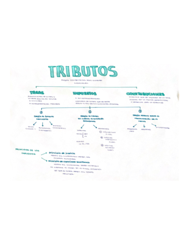 Esquema-de-los-tributos-tasas-contribuciones-y-impuestos-.pdf