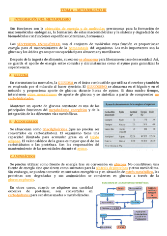 TEMA-9-METABOLISMO-III.pdf