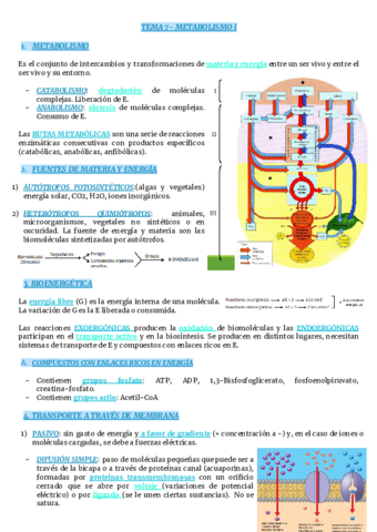 TEMA-7-METABOLISMO-I.pdf