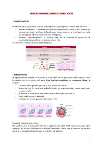 TEMA-2-CUIDADOS-DURANTE-LA-GESTACION.pdf