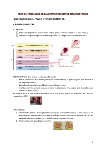 TEMA-2.pdf