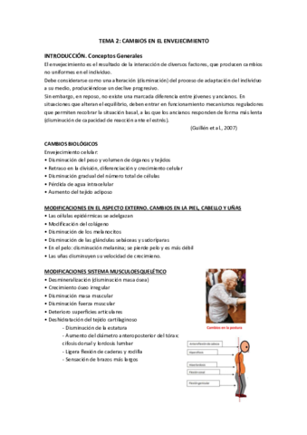 TEMA-2.pdf