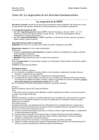 TEMA 10 RESUMEN.pdf