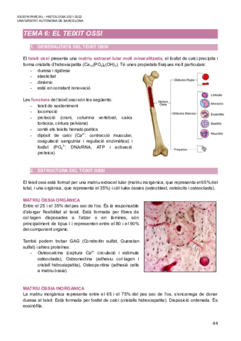 Segon-Parcial-Histologia