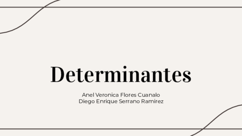Determinantes.pdf