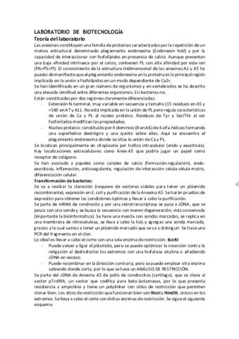 LABORATORIO-DE-BIOTECNOLOGIA.pdf