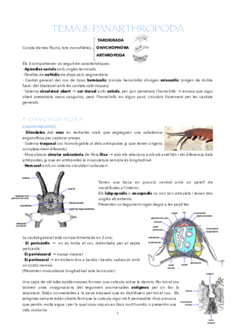APUNTS-T8-12.pdf