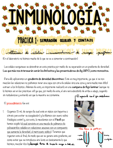 Practicas-.pdf