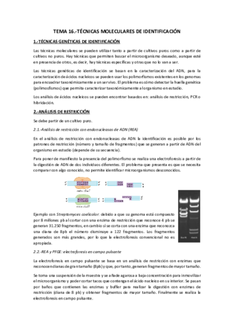 Tema 16.-Técnicas moleculares.pdf