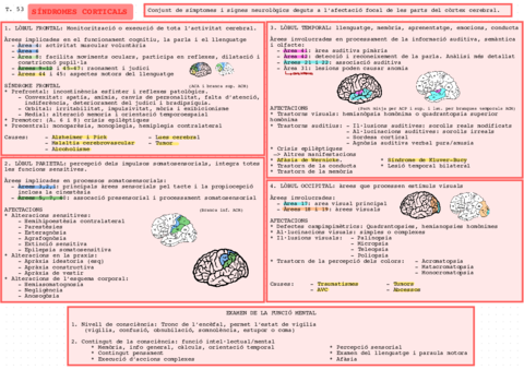 Sdrs-corticals.pdf