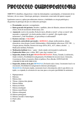 Protocolos-practicum-1-BUENOS.pdf