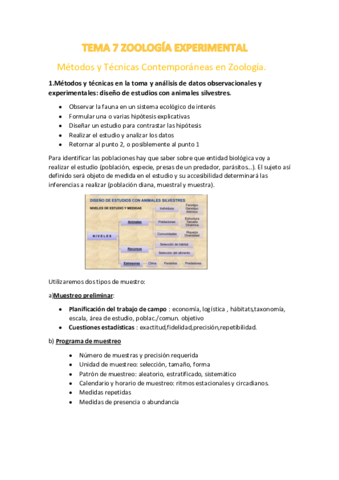 PREGUNTAS-TIPO-7-A.pdf