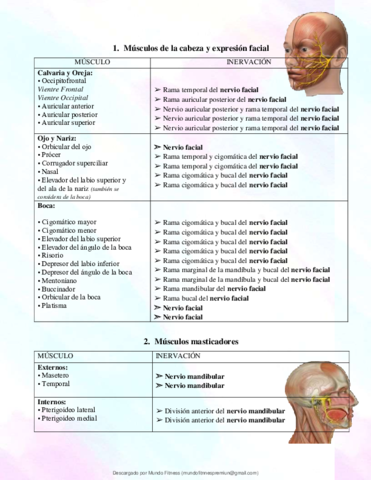 Inervacion-Cabeza-y-cuello.pdf