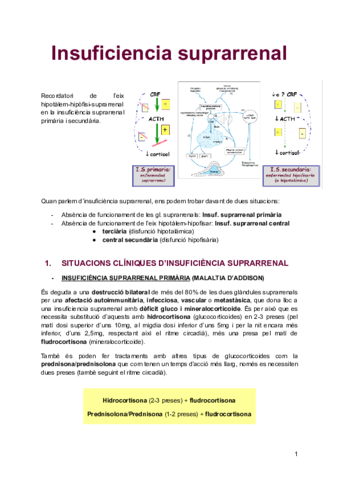 Insuficiencia-suprarenal.pdf