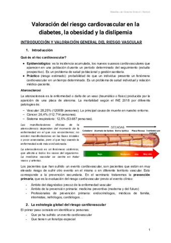 Valoracio-frcv-la-dm-obesitat-i-dlp.pdf