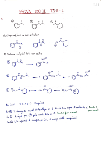 Prova-Tema-2-Carboni-alfa.pdf