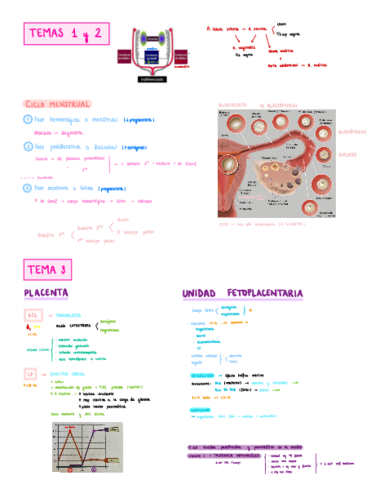 Esquemas-Obstetricia.pdf