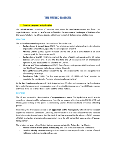 08-THE-UNITED-NATIONS.pdf