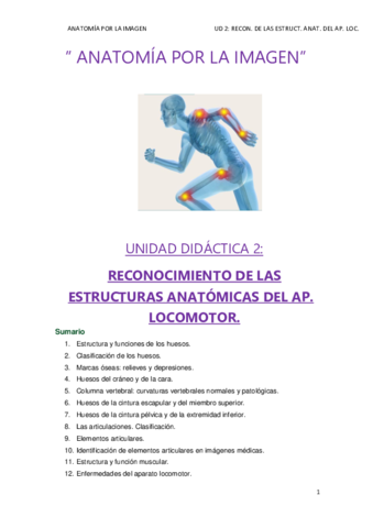 tema-2-pdf.pdf