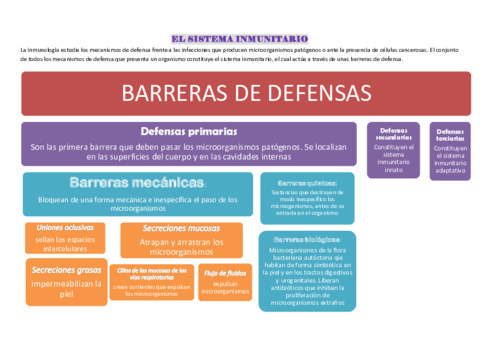 EL-SISTEMA-INMUNITARIO.pdf