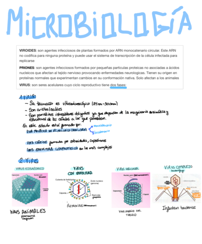Microbiologia.pdf