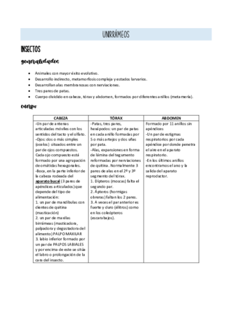 TEMA-8.pdf