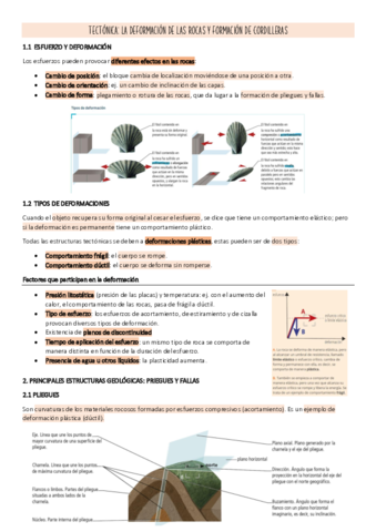 TEMA-3.pdf