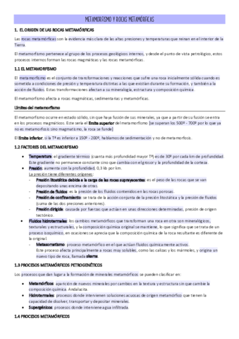 TEMA-6.pdf