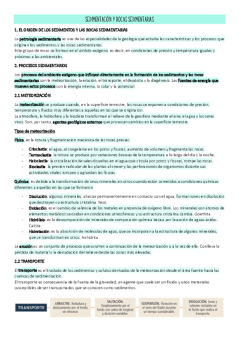 TEMA-7.pdf