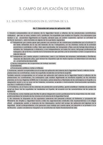 T3.pdf