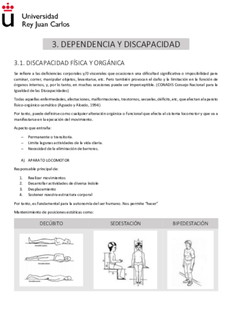 T3.pdf