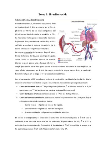Tema-3.pdf