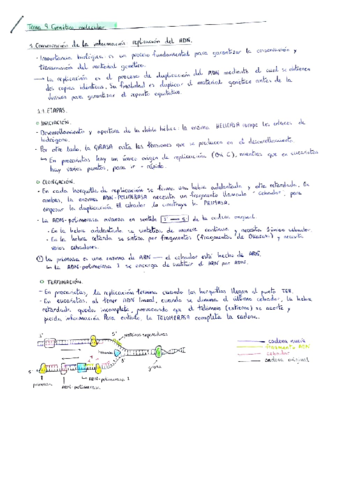 Genética molecular.pdf