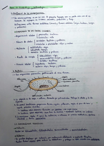 Microbiología y biotecnología.pdf