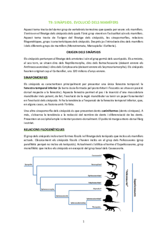 T9-Evolucio-dels-mamifers.pdf