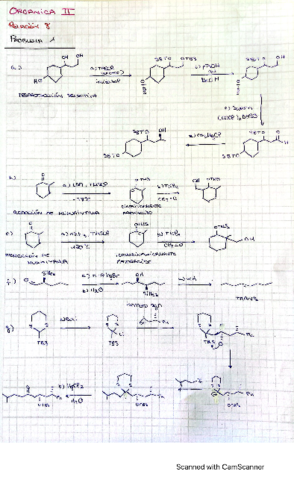 RELACION-8-QUIMICA-ORGANICA.pdf