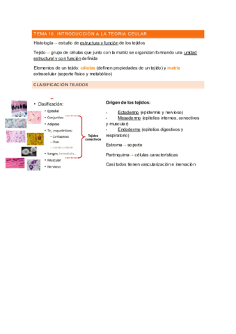 histologia.pdf