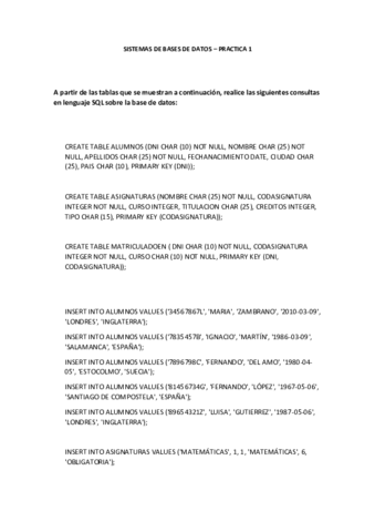 P1.pdf