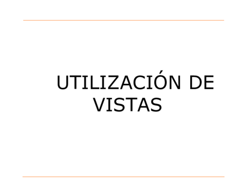 Utilizacion-de-vistas-2021.pdf