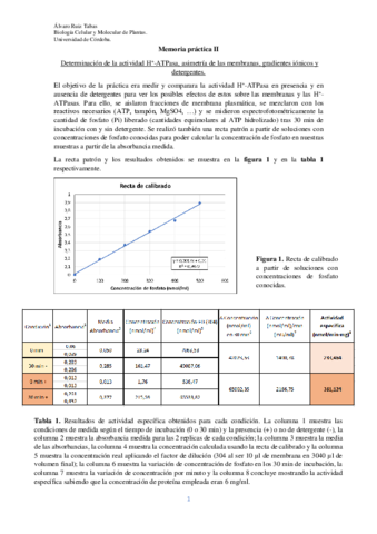 Memoria-practica-II.pdf