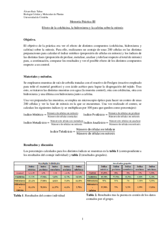 Memoria-Practica-III.pdf