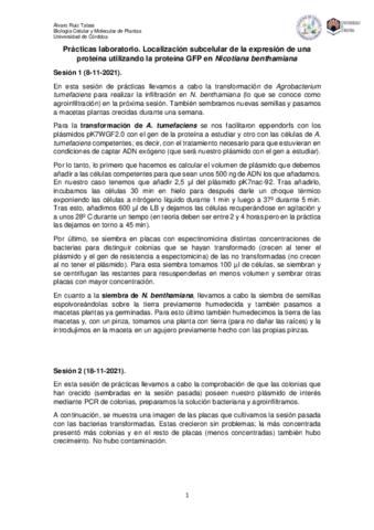 Memoria-Alvaro-Ruiz-Tabas.pdf